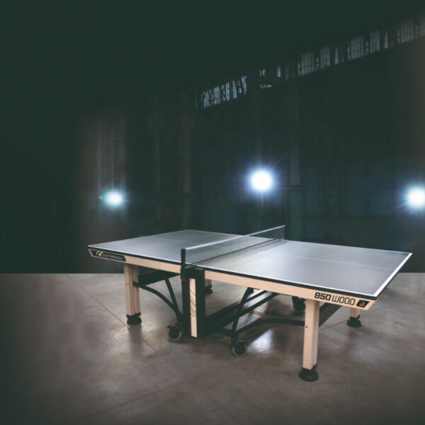 850 Wood ITTF indoor table tennis table