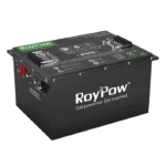RoyPow 48V 50Ah Lithium Golf Cart Battery S5156